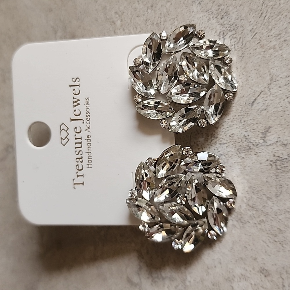 Treasure Jewels Silver Crystal Earrings - NWT